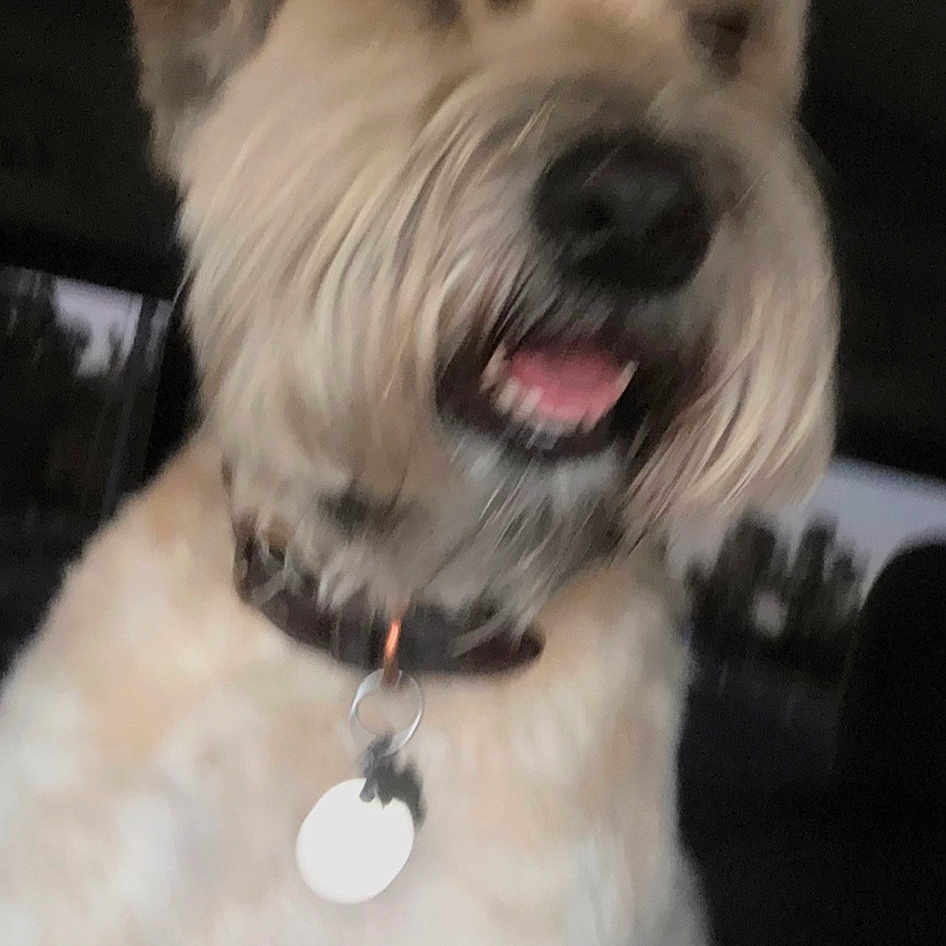 Charlie