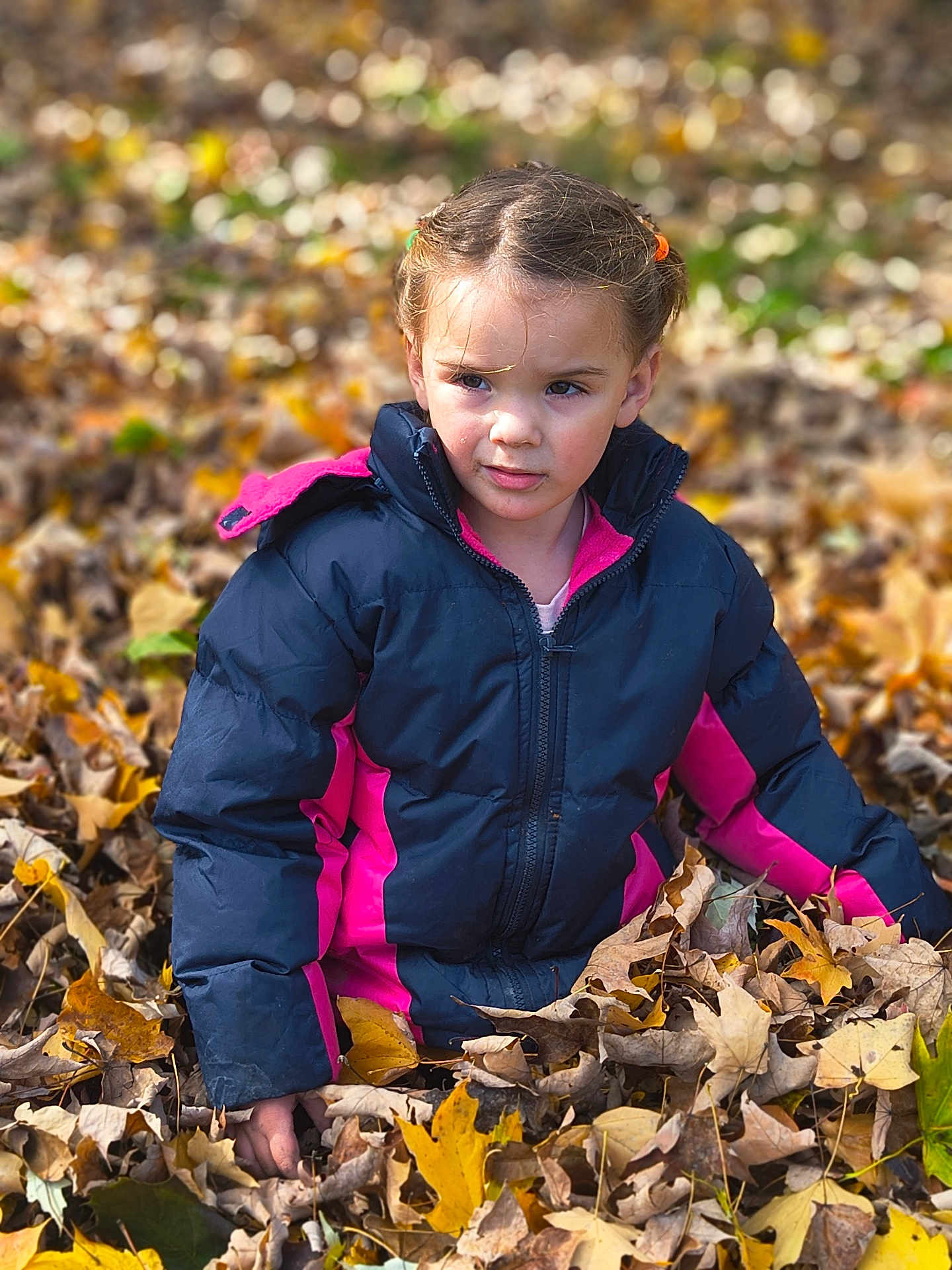 Katelyn joined the competition — help win amazing prizes! child, girl, autumn, leaves, jacket, outdoor, nature, fall, playful, seasonal, portrait, young, curly_hair, park, cool_weather, casual_clothing, daylight, face, expression, fun