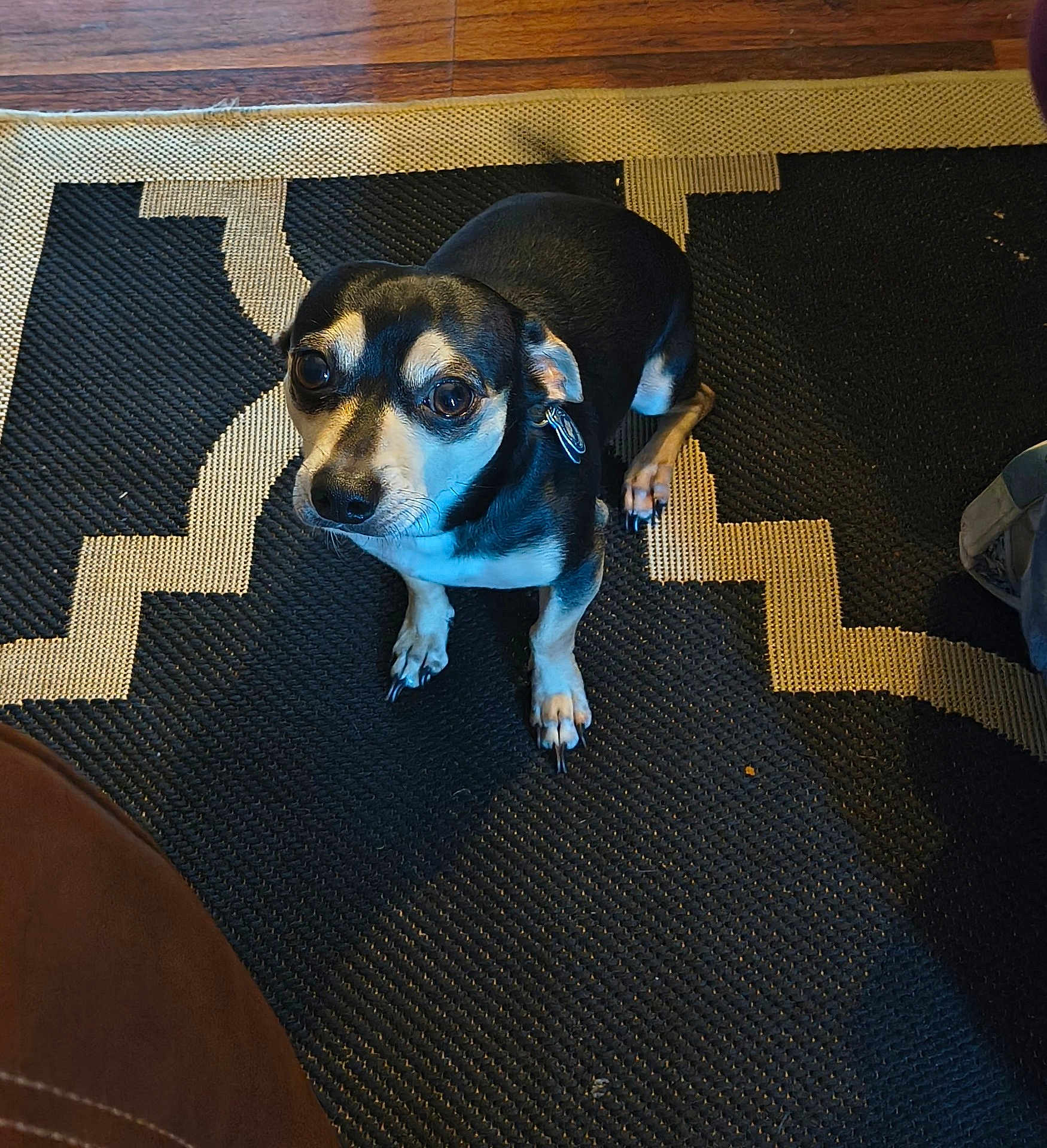 Mr D