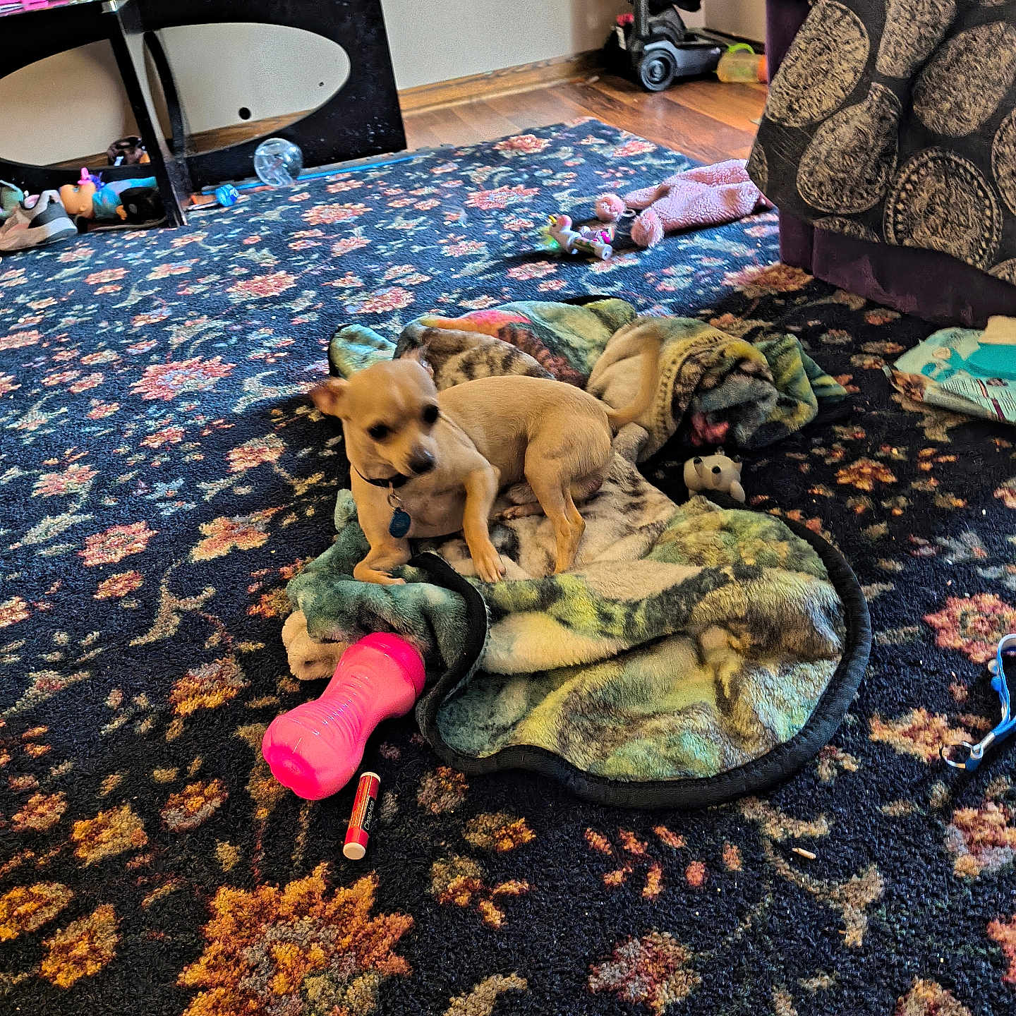 Coco