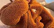 Oliver joined the competition — help win amazing prizes! baby, child, toddler, bear_costume, onesie, hood, fuzzy, fluffy, brown, cute, smiling, face, eyes, sitting, couch, indoor, portrait, cozy, adorable, photograph