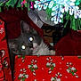 cat, christmas, presents, holiday, decorations, snowflake, greenery, red_wrapping_paper, festive, curious, pet, indoor, glowing_eyes, feline, christmas_tree, holiday_season, celebration, cute, animal, gifts
