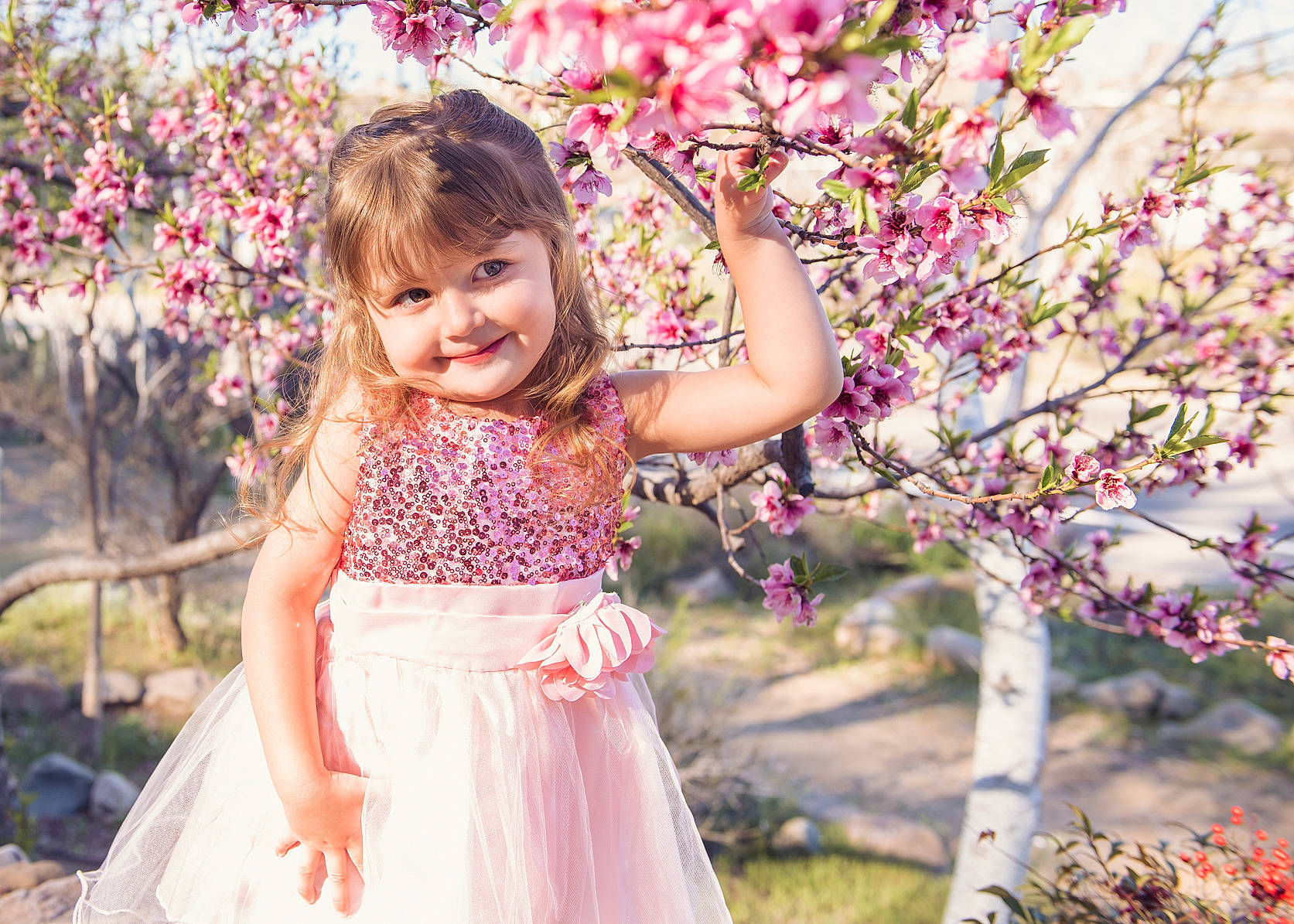 Addie is registered to the contest to win money with this photo: blossom, cherry_blossom, child, child_model, dress, flower, happy, joy, lilac, people_in_nature, person, petal, photography, pink, plant, smile, spring, toddler, tree, wildflower