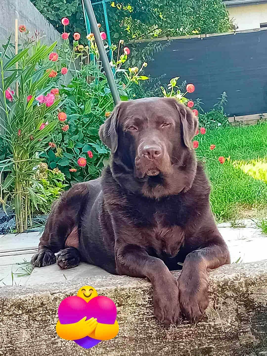 Ted