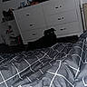 dog, black_dog, bedroom, dresser, blanket, bed, floor, furniture, indoor, reflection, eyes, flash, dark, glowing_eyes, room, poster, shelf, books, household_items, night