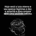 Catia E.
