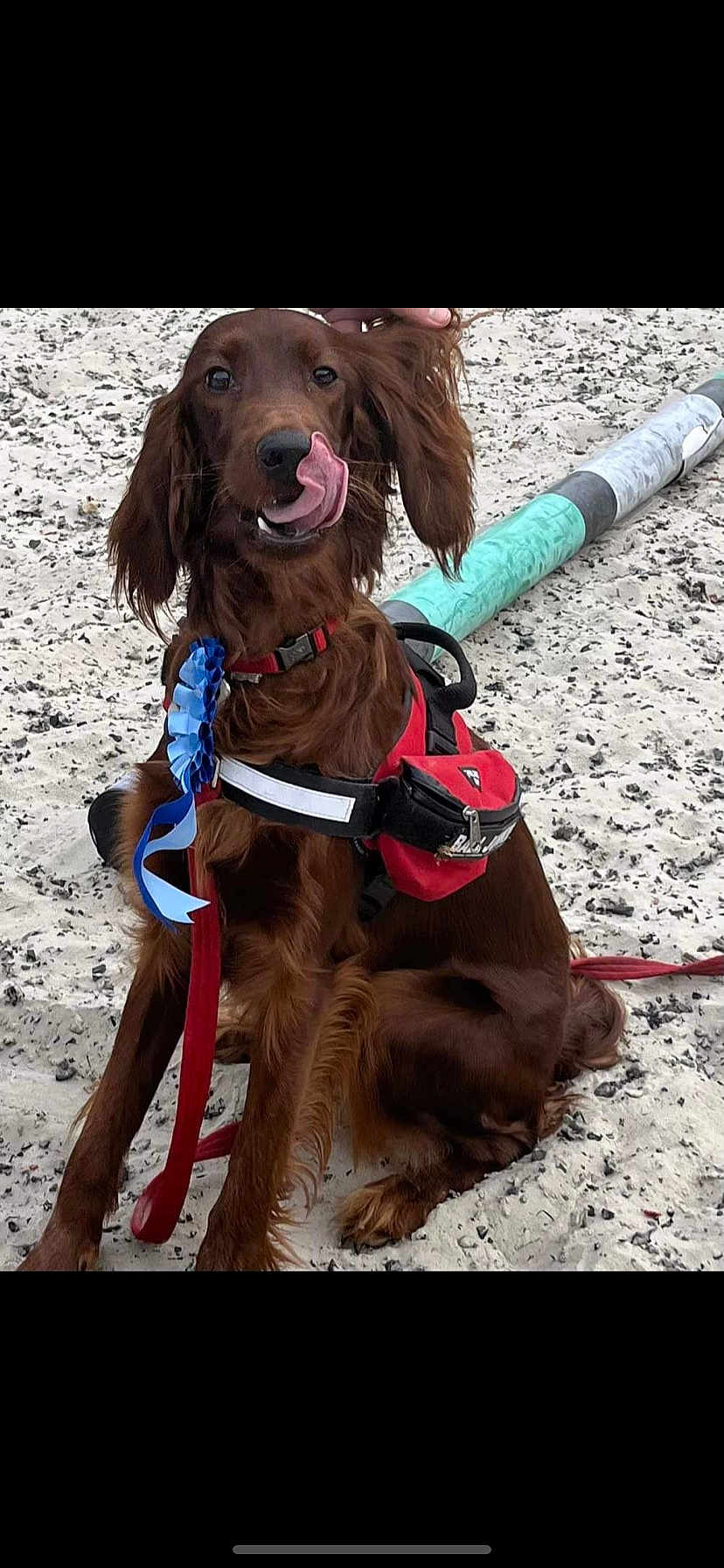Ruby