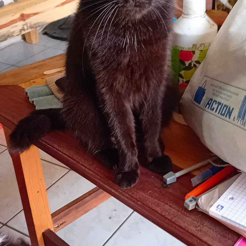 Nalla