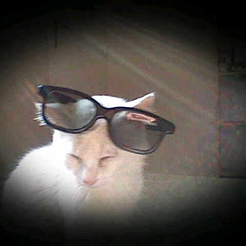 Doudou