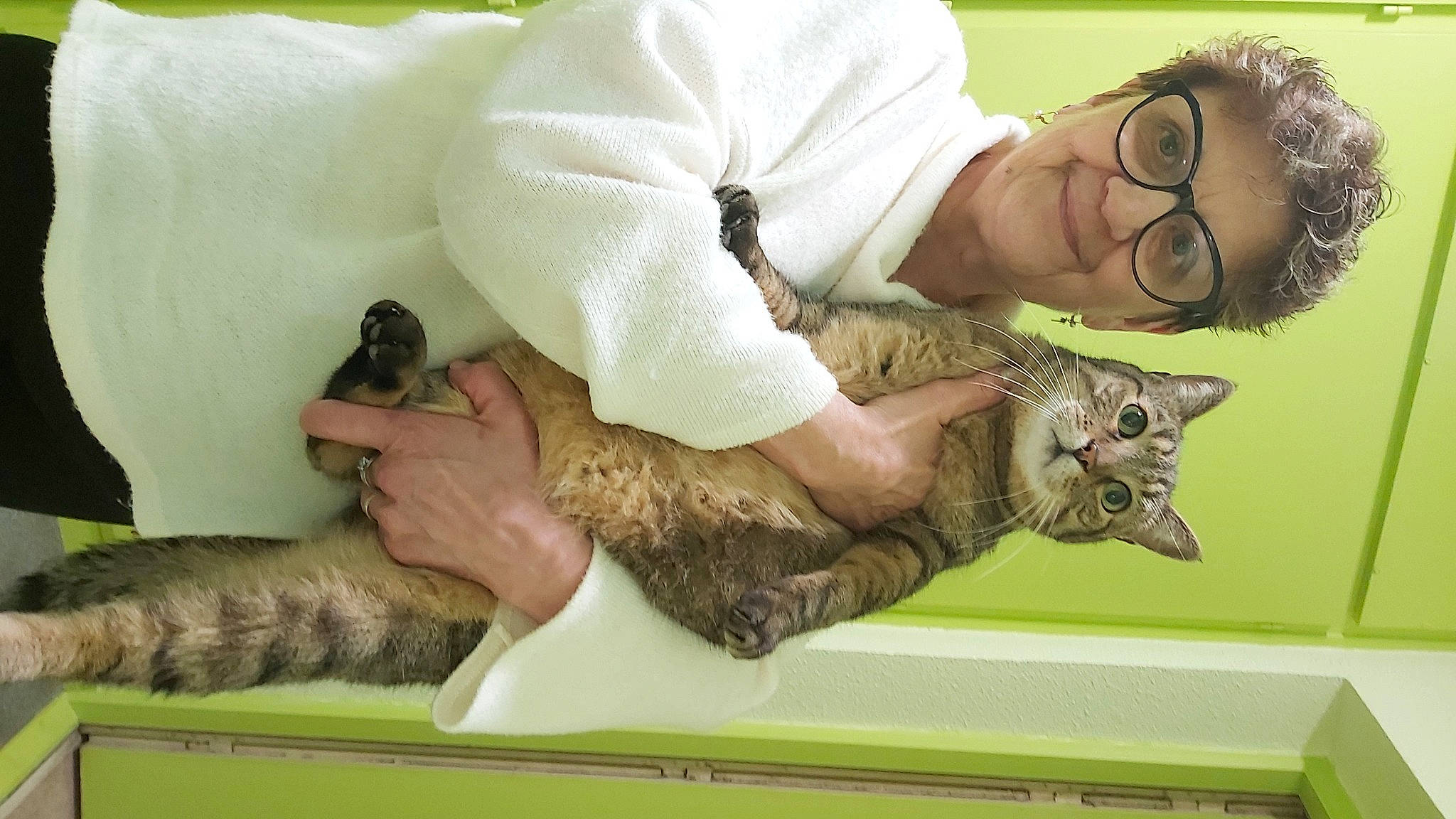 Guizmo participe au concours pour gagner de l'argent avec cette photo : army, carnivore, cat, comfort, domestic_short_haired_cat, eyewear, fawn, felidae, fur, glasses, happy, hat, mammal, military_camouflage, small_to_medium_sized_cats, soldier, sunglasses, vertebrate, whiskers, wildlife_biologist