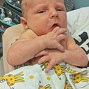 Callum is registered to the contest to win money with this photo: baby, infant, blanket, giraffe_pattern, hand, fingers, person, skin, face, expression, indoor, holding, toddler, clothing, parent, arm, cute, newborn, nursery, soft