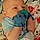 Callum