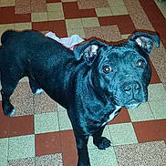 Izarra participe au concours pour gagner de l'argent avec cette photo :