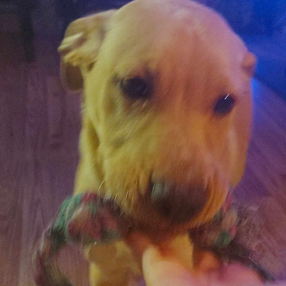 Zoey