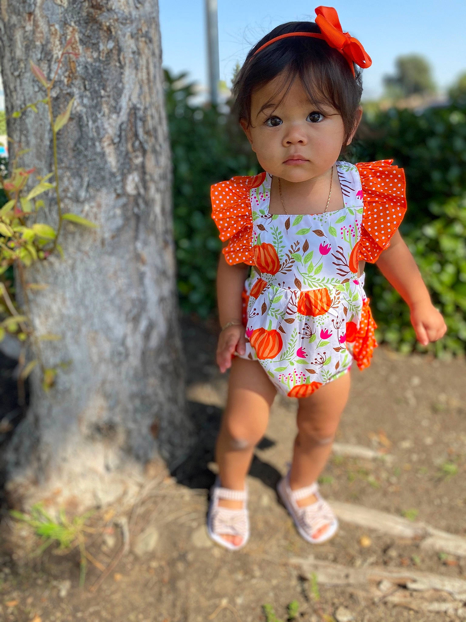 Emmaline is registered to the contest to win money with this photo: baby_toddler_clothing, child, day_dress, eye, face, grass, happy, leaf, leisure, lip, people_in_nature, person, plant, skin, sky, sleeve, toddler, tree, trunk, waist