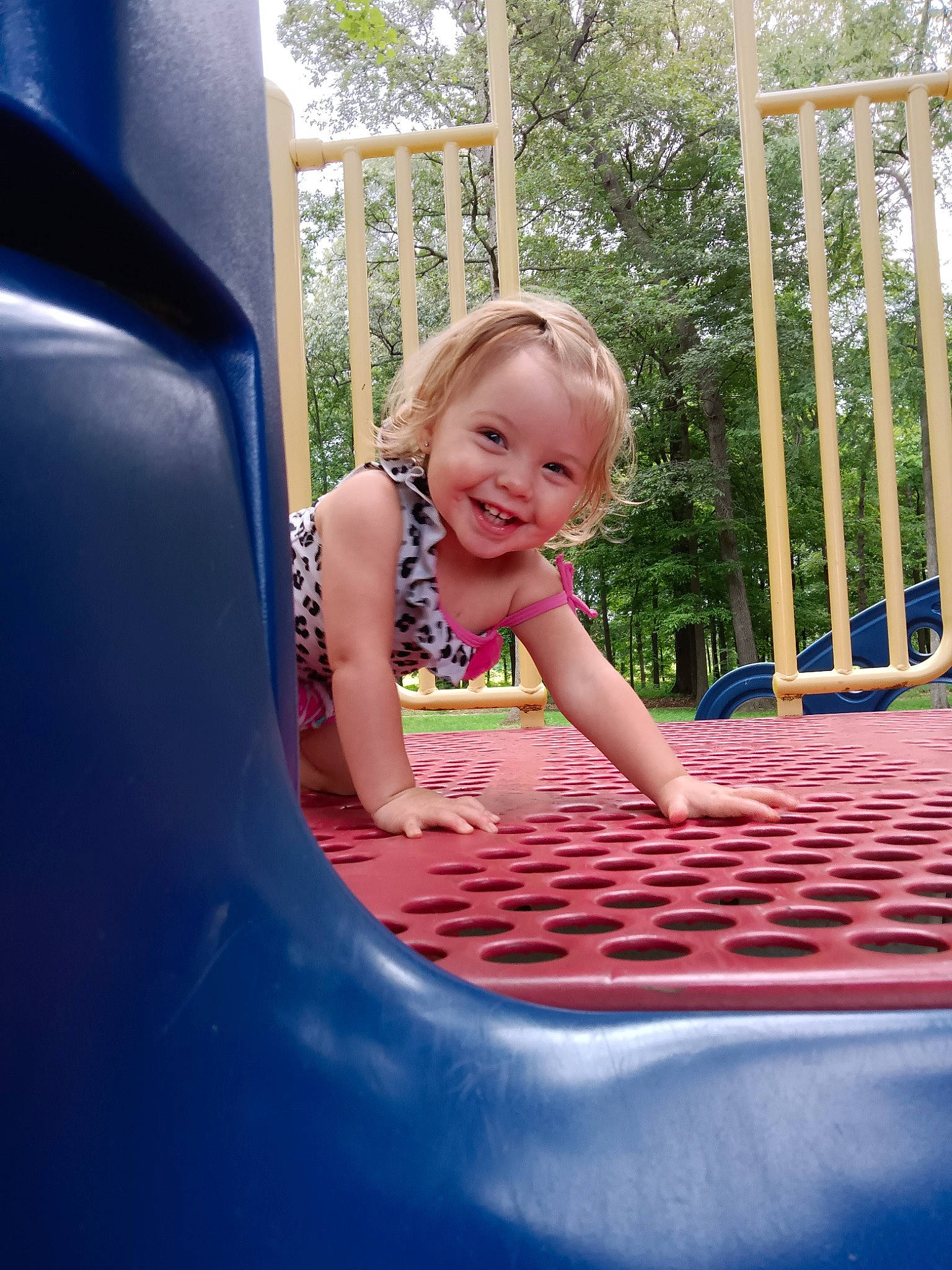 Bonnie is registered to the contest to win money with this photo: automotive_tire, blue, child, chute, dress, fun, grass, happy, human_body, joy, leisure, outdoor_play_equipment, person, pink, playground, product, recreation, smile, summer, tire