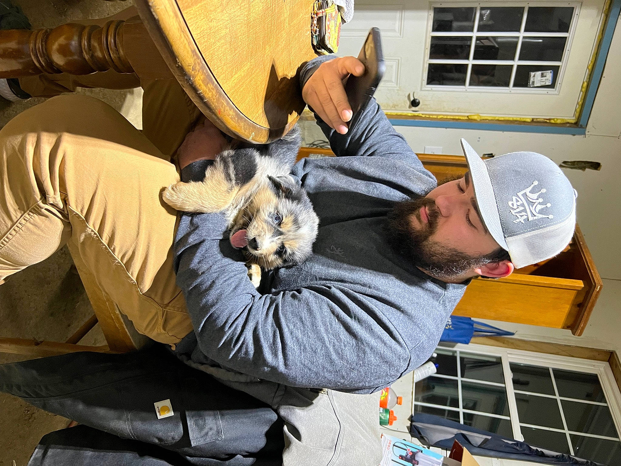 Bandit joined the competition — help win amazing prizes! baseball_cap, cap, cowboy_hat, engineering, eyewear, fashion_accessory, fedora, fur, glove, hat, sun_hat, tree, window