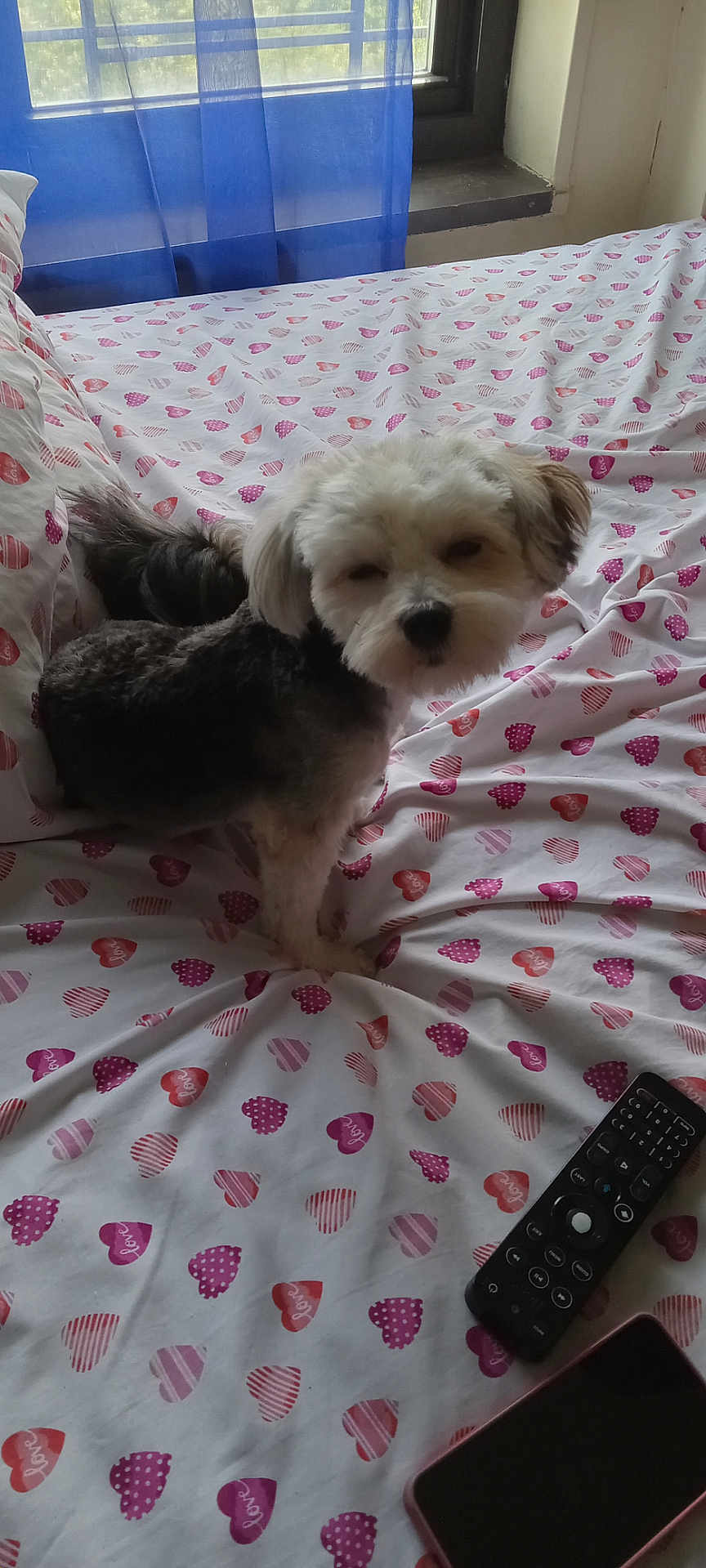 Max