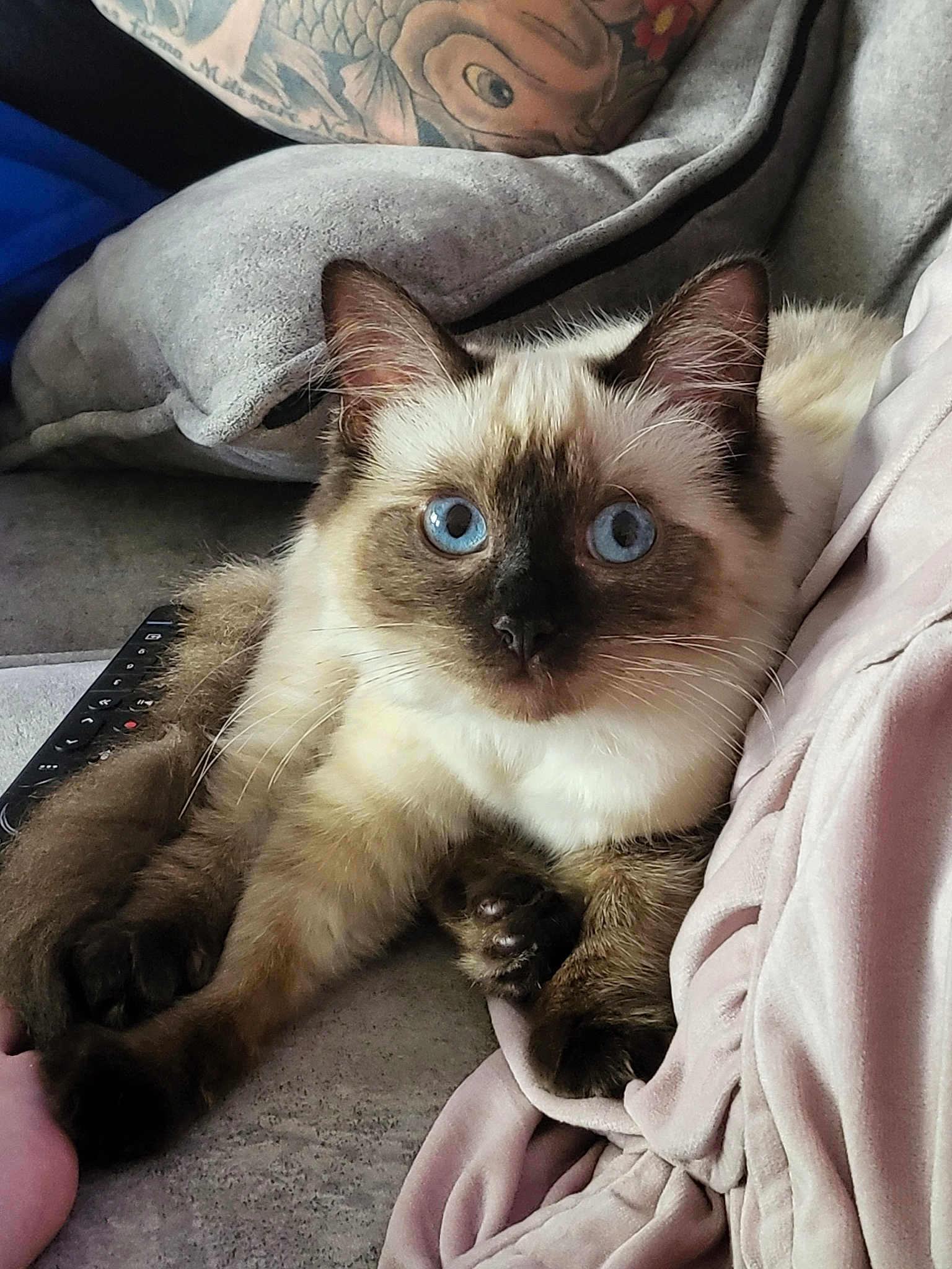 Tinkerbell