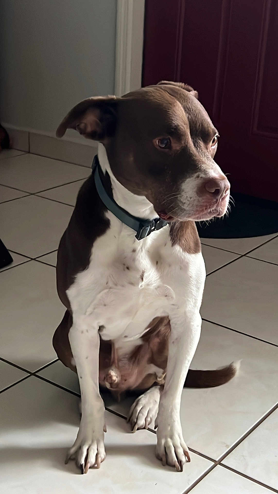 Jeter