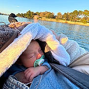 Gaspard participe au concours pour gagner de l'argent avec cette photo : baby, infant, pacifier, blanket, boat, water, lake, sunset, trees, dog, pet, sleeping, cozy, jacket, denim, outdoors, shoreline, nature, portrait, peaceful