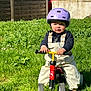 Gaspard participe au concours pour gagner de l'argent avec cette photo : child, toddler, helmet, tricycle, grass, backyard, fence, toy, purple_helmet, red_tricycle, overalls, sunlight, smile, greenery, car, daisies, playtime, portrait, cute, outdoor_play