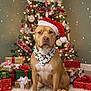 dog, santa_hat, bandana, christmas_tree, presents, holiday, festive, decorations, lights, toy, plush, reindeer, fur, pet, indoor, carpet, celebration, seasonal, cute, portrait