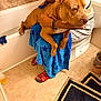 dog, person, bathroom, towel, scrubbing, bathtub, toilet, floor, rug, sandals, clothing, wall, hand, bracelet, earring, tile_floor, cleaning, pet_care, brown_dog, blue_towel