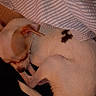 Gucci joined the competition — help win amazing prizes! dogs, puppies, sleeping, sleepy, curled_up, resting, pet, animal, short_hair, white_dog, brown_markings, black_spot, cozy, blanket, bedding, indoors, nap, relaxed, cuddling, photography