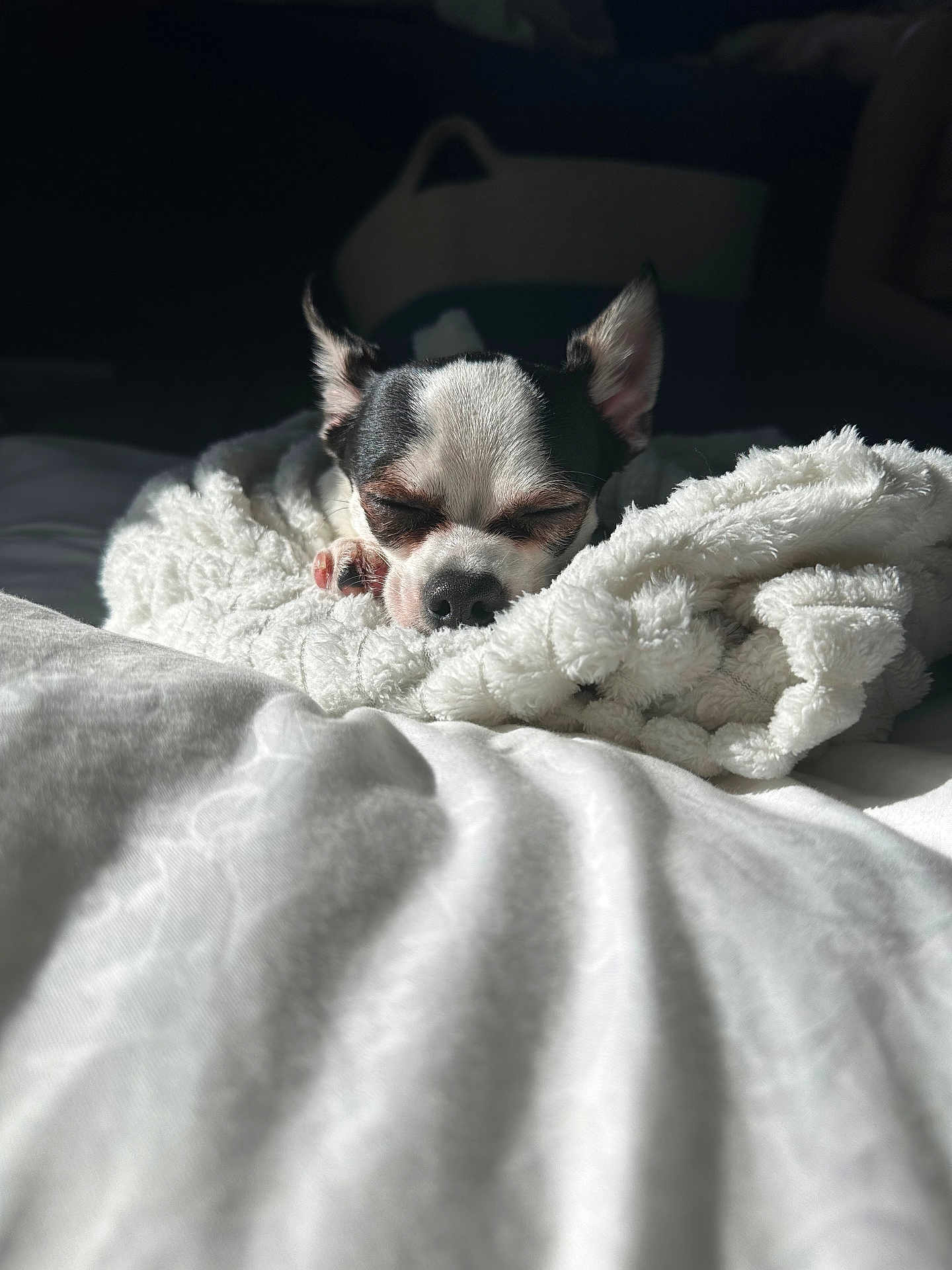 Bandit