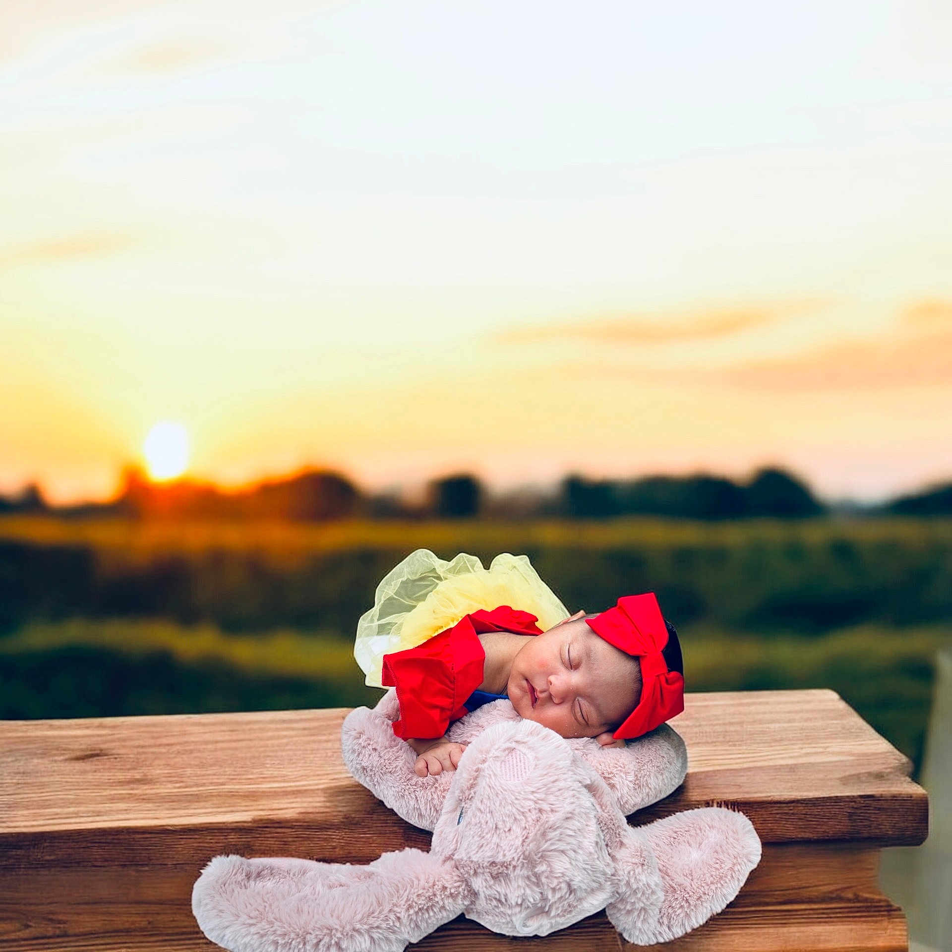 Rachel joined the competition — help win amazing prizes! baby, blurred_background, child, cute, evening, field, headband, infant, nature, outdoor, peaceful, plush_bunny, portrait, red_bow, resting, sleeping, soft_toy, sunset, wooden_surface, yellow_dress