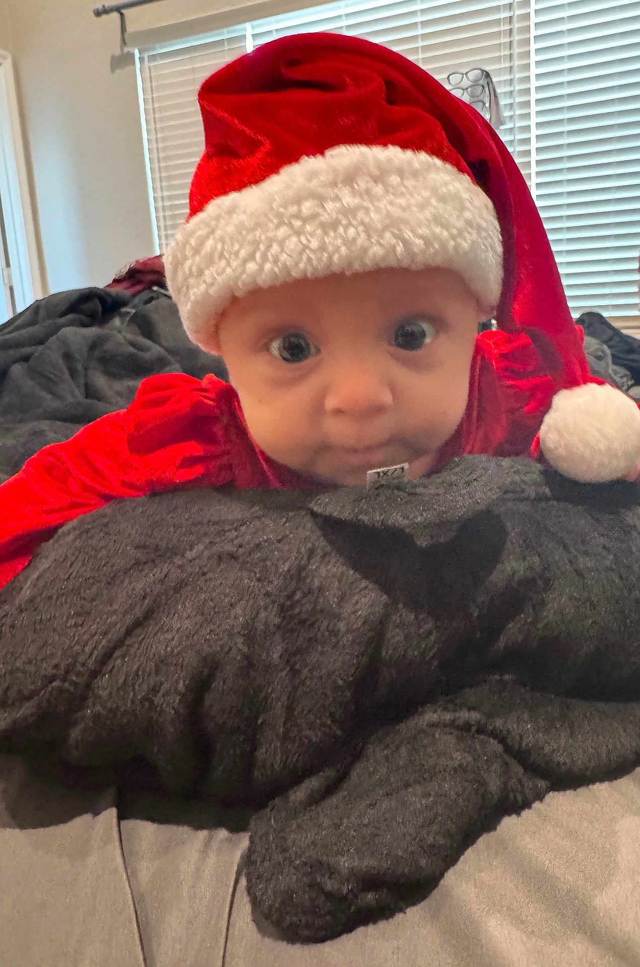 Kinsley joined the competition — help win amazing prizes! baby, child, santa_hat, red_clothing, blanket, bedroom, indoor, curious, face, wide_eyes, soft_texture, pillow, holiday, christmas, infant, person, cute, portrait, cozy, resting