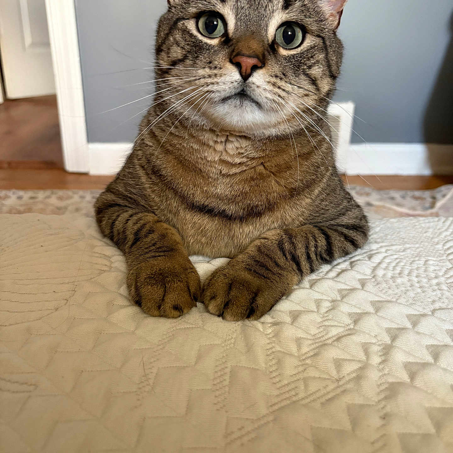 Lou