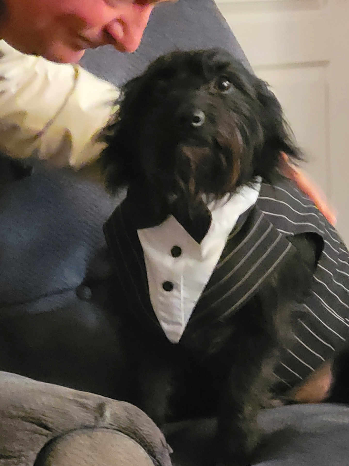 Alfie