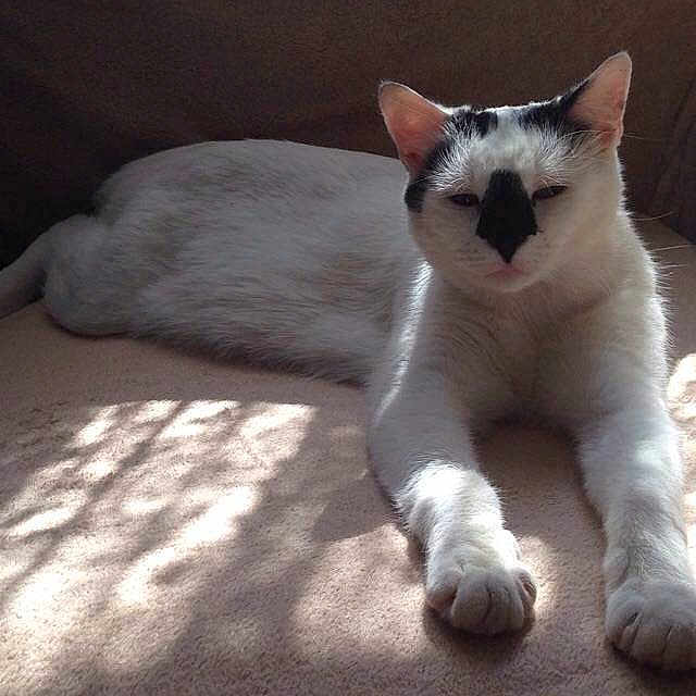 Rocky joined the competition — help win amazing prizes!