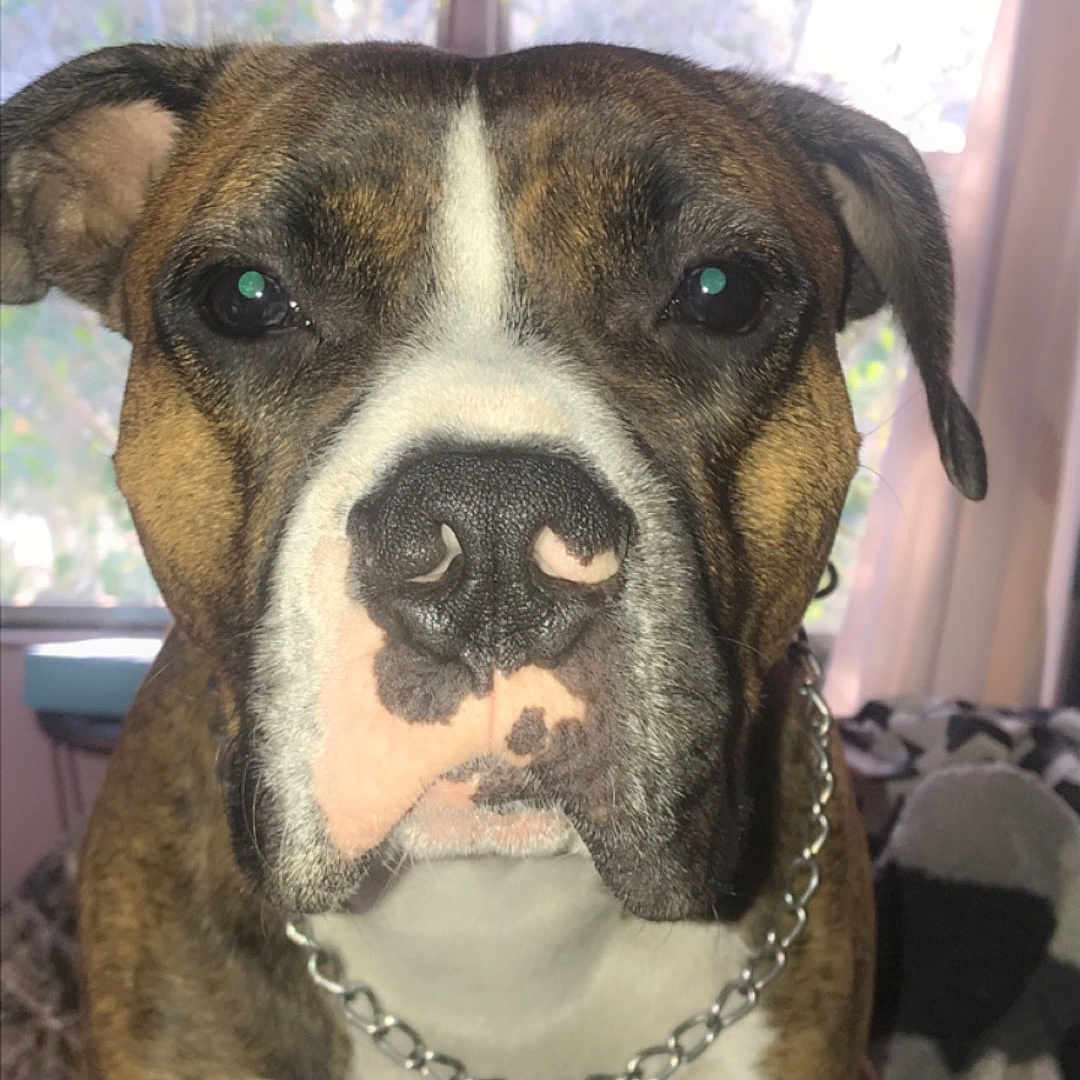 Zeus
