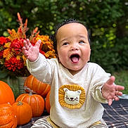 Gabe is registered to the contest to win money with this photo: baby, child, infant, smiling, happy, outdoor, portrait, autumn, pumpkins, flowers, greenery, garden, sitting, hands_raised, tiger_shirt, striped_pants, plaid_blanket, curly_hair, seasonal_decor, close_up