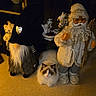 Apollon participe au concours pour gagner de l'argent avec cette photo : cat, fluffy_cat, white_cat, brown_cat, santa_figurine, gnome_figurine, holiday_decor, tiled_floor, indoor, warm_lighting, beard, toy, stuffed_animal, decorative, holiday_theme, figurine, animal, cute, pet, cozy