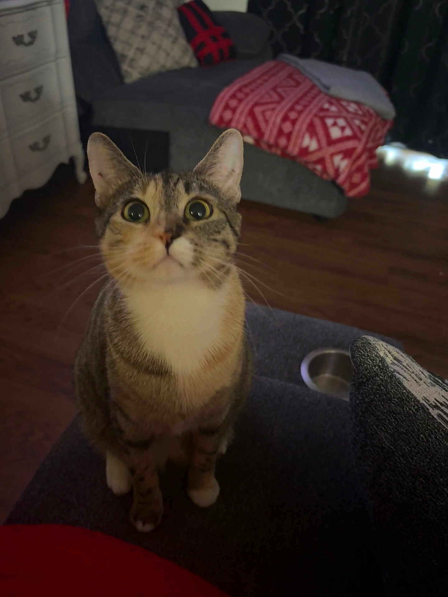 Boo