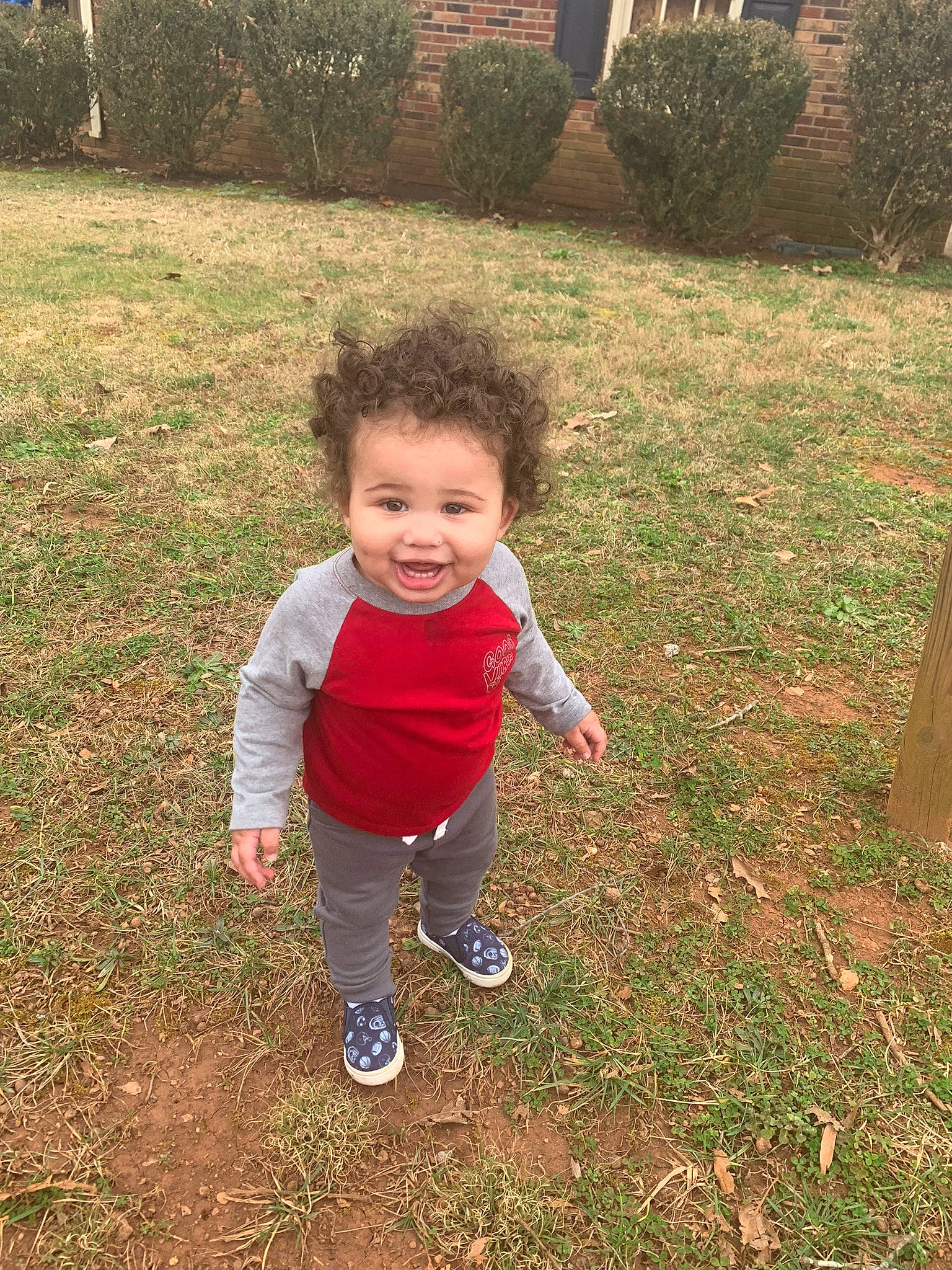 Kaison joined the competition — help win amazing prizes! baby_toddler_clothing, child, fun, garden, grass, grass_family, grassland, groundcover, happy, joy, landscape, people_in_nature, person, plant, sleeve, smile, soil, toddler, tree, yard