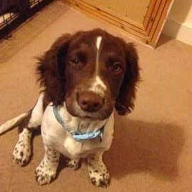 Bella joined the competition — help win amazing prizes!