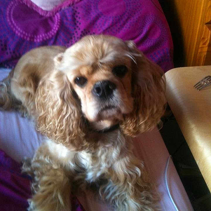 Maggie
