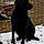 Athos