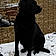 Athos