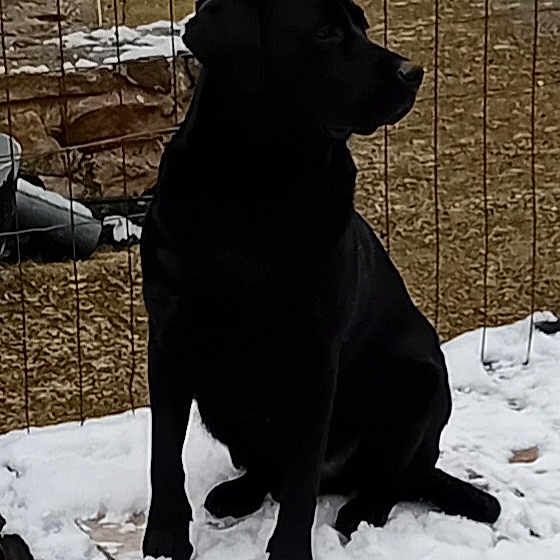 Athos