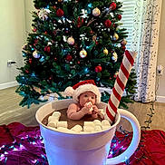 Aurora is registered to the contest to win money with this photo: baby, santa_hat, marshmallows, hot_chocolate, christmas_tree, holiday_lights, cup, floor, blanket, indoors, festive, decorations, child, cute, holiday, toddler, celebration, red, white, green
