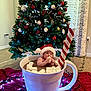 baby, santa_hat, marshmallows, hot_chocolate, christmas_tree, holiday_lights, cup, floor, blanket, indoors, festive, decorations, child, cute, holiday, toddler, celebration, red, white, green