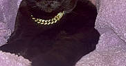 Hershey Kisses joined the competition — help win amazing prizes! animal, black_cat, cat, closeup, cozy, cute, domestic_cat, feline, fluffy_blanket, fur, gold_chain, indoor, lavender_blanket, pet, portrait, relaxed, resting, soft_texture, whiskers, yellow_eyes
