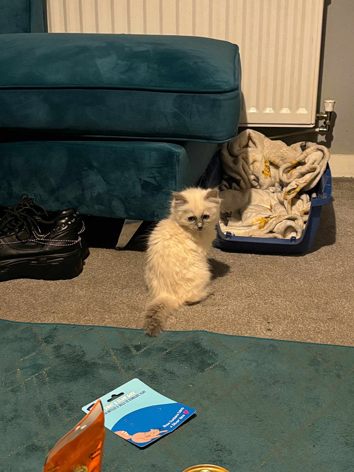 Pablo