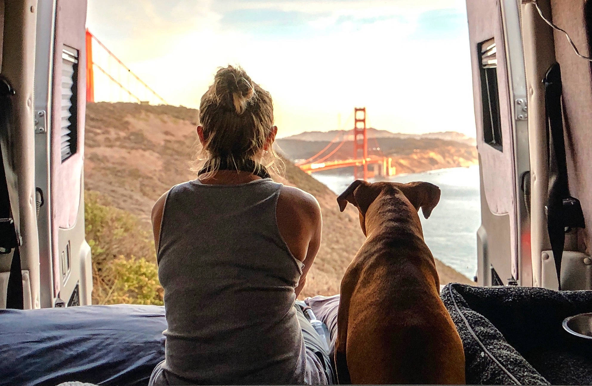 Ella joined the competition — help win amazing prizes! canidae, carnivore, companion_dog, dog, fawn, guard_dog, sitting, sporting_group, sunlight, vacation